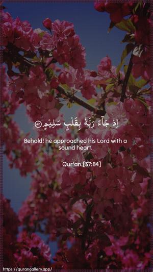 As-Saaffaat Ayah 84 - Arabic + English wallpaper