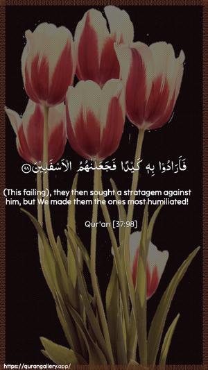 As-Saaffaat Ayah 98 - Arabic + English wallpaper