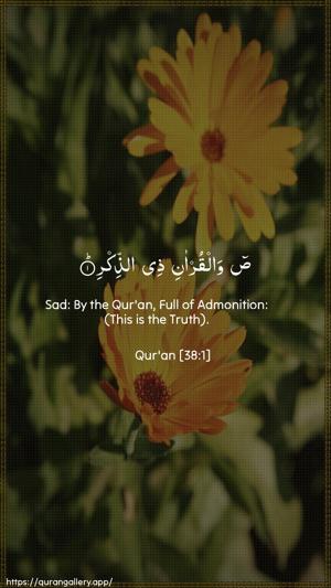 Saad Ayah 1 - Arabic + English wallpaper