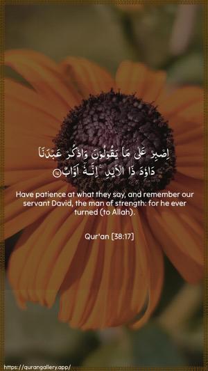Saad Ayah 17 - Arabic + English wallpaper