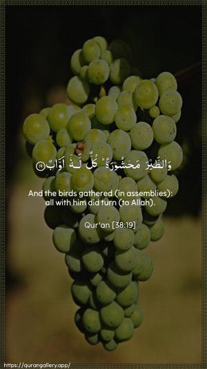 Saad Ayah 19 - Arabic + English wallpaper