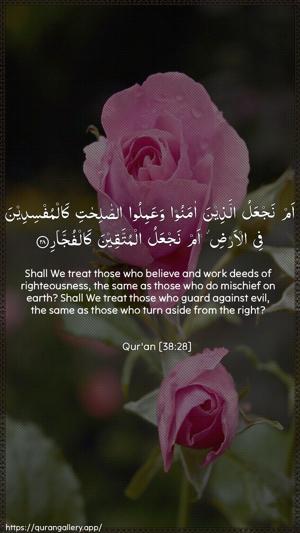 Saad Ayah 28 - Arabic + English wallpaper