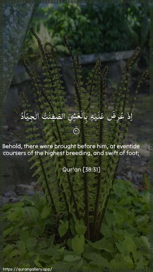 Saad Ayah 31 - Arabic + English wallpaper
