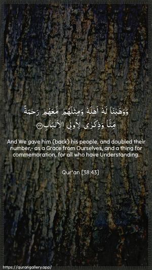 Saad Ayah 43 - Arabic + English wallpaper