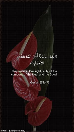 Saad Ayah 47 - Arabic + English wallpaper