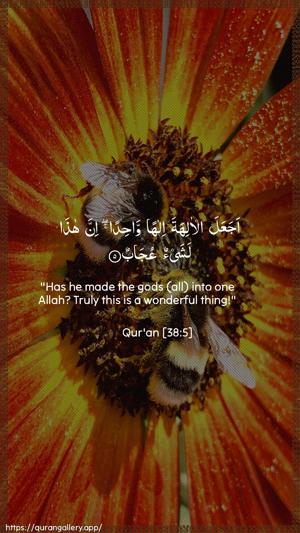 Saad Ayah 5 - Arabic + English wallpaper