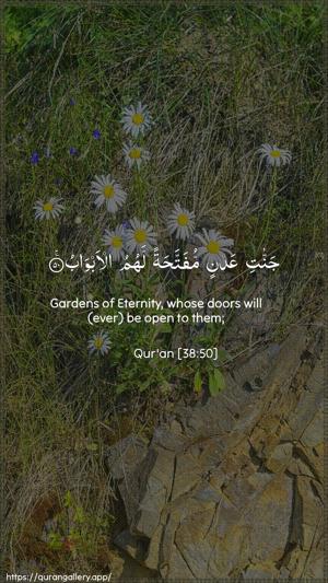 Saad Ayah 50 - Arabic + English wallpaper