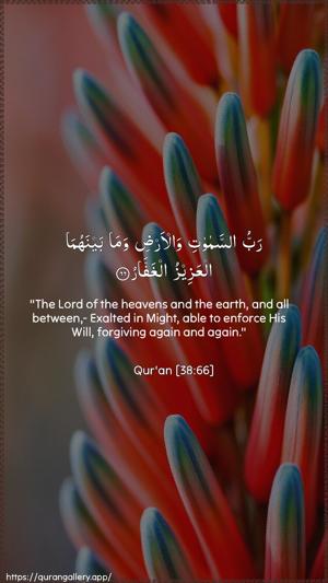 Saad Ayah 66 - Arabic + English wallpaper