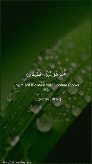 Saad Ayah 67 - Arabic + English wallpaper