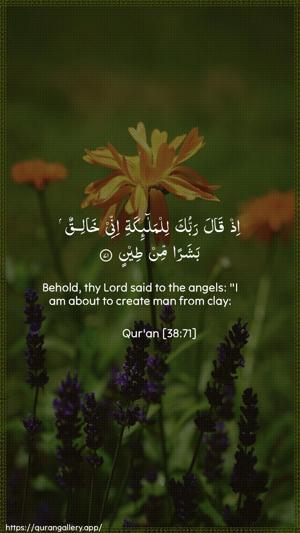 Saad Ayah 71 - Arabic + English wallpaper