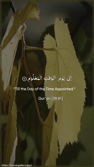 Saad Ayah 81 - Arabic + English wallpaper