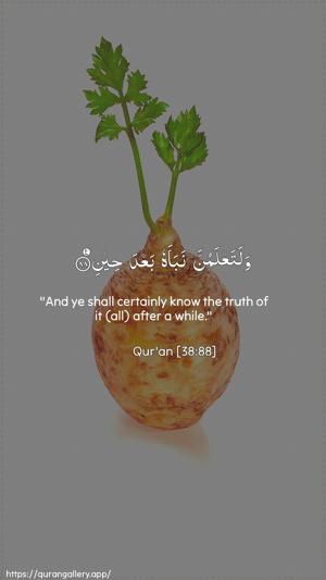 Saad Ayah 88 - Arabic + English wallpaper
