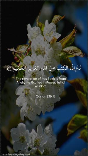 Az-Zumar Ayah 1 - Arabic + English wallpaper