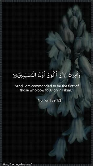 Az-Zumar Ayah 12 - Arabic + English wallpaper