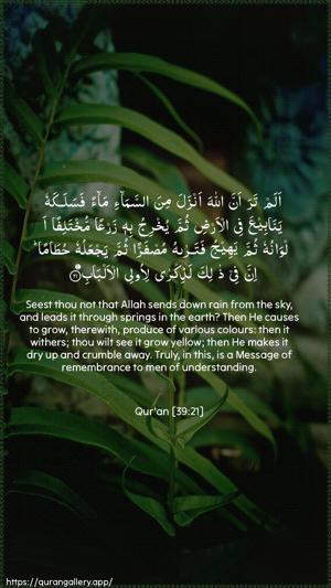 Az-Zumar Ayah 21 - Arabic + English wallpaper