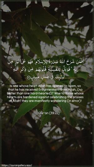 Az-Zumar Ayah 22 - Arabic + English wallpaper