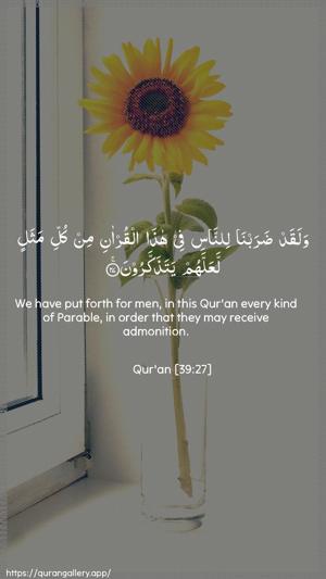 Az-Zumar Ayah 27 - Arabic + English wallpaper