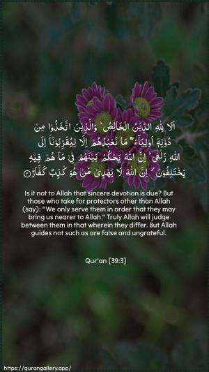 Az-Zumar Ayah 3 - Arabic + English wallpaper