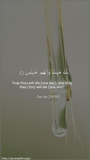 Az-Zumar Ayah 30 - Arabic + English wallpaper