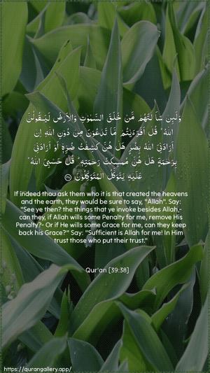 Az-Zumar Ayah 38 - Arabic + English wallpaper