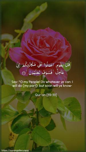 Az-Zumar Ayah 39 - Arabic + English wallpaper