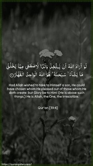 Az-Zumar Ayah 4 - Arabic + English wallpaper