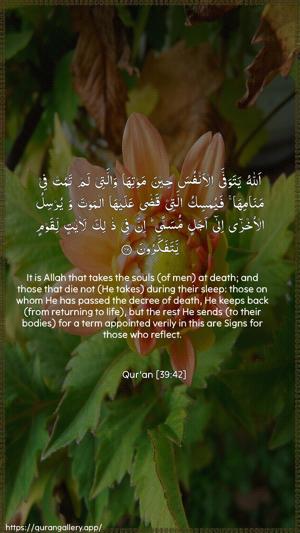 Az-Zumar Ayah 42 - Arabic + English wallpaper