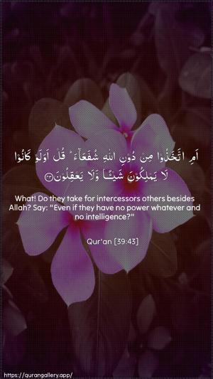 Az-Zumar Ayah 43 - Arabic + English wallpaper