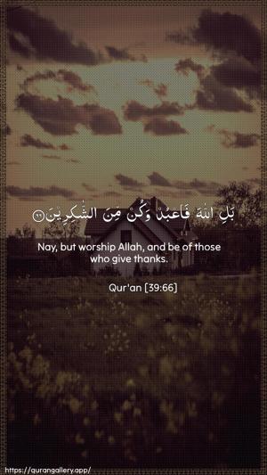 Az-Zumar Ayah 66 - Arabic + English wallpaper