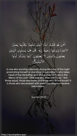 Az-Zumar Ayah 9 - Arabic + English wallpaper