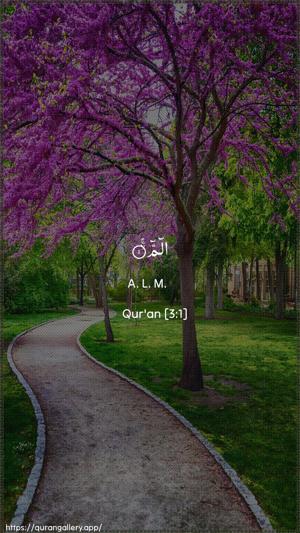 Aal-i-Imraan Ayah 1 - Arabic + English wallpaper