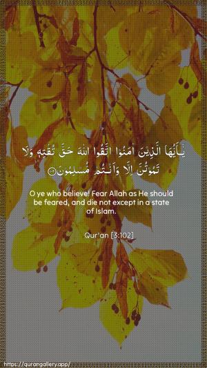 Aal-i-Imraan Ayah 102 - Arabic + English wallpaper
