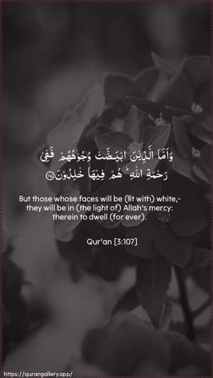 Aal-i-Imraan Ayah 107 - Arabic + English wallpaper