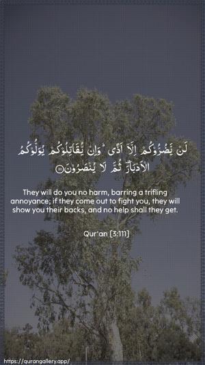Aal-i-Imraan Ayah 111 - Arabic + English wallpaper