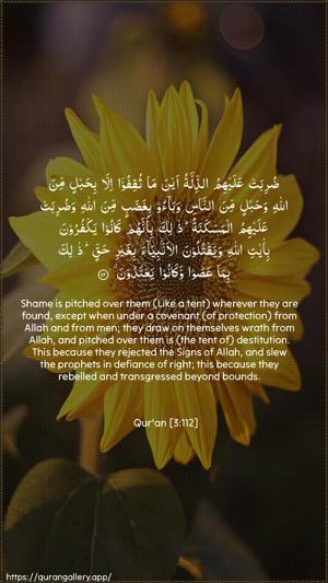 Aal-i-Imraan Ayah 112 - Arabic + English wallpaper