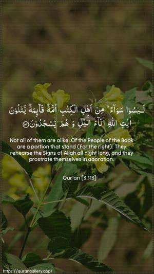 Aal-i-Imraan Ayah 113 - Arabic + English wallpaper