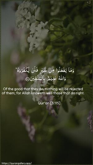 Aal-i-Imraan Ayah 115 - Arabic + English wallpaper