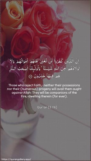 Aal-i-Imraan Ayah 116 - Arabic + English wallpaper