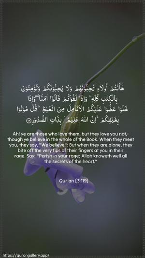 Aal-i-Imraan Ayah 119 - Arabic + English wallpaper