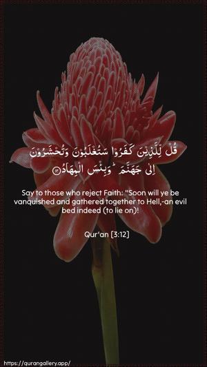 Aal-i-Imraan Ayah 12 - Arabic + English wallpaper