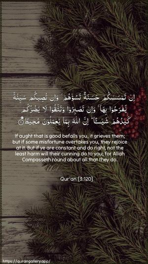 Aal-i-Imraan Ayah 120 - Arabic + English wallpaper