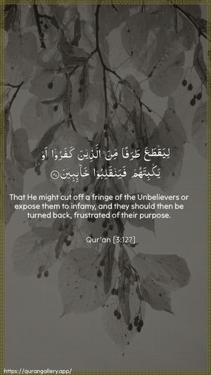 Aal-i-Imraan Ayah 127 - Arabic + English wallpaper