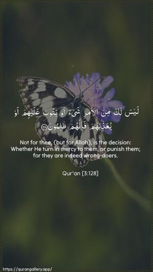 Aal-i-Imraan Ayah 128 - Arabic + English wallpaper