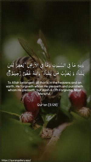 Aal-i-Imraan Ayah 129 - Arabic + English wallpaper