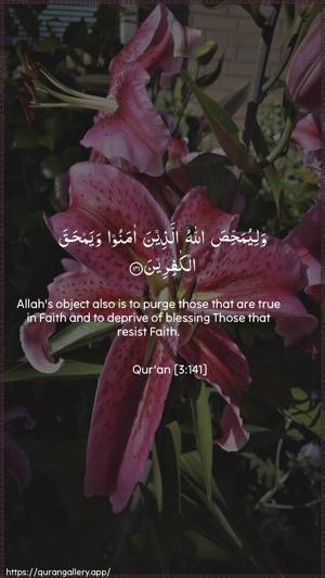 Aal-i-Imraan Ayah 141 - Arabic + English wallpaper