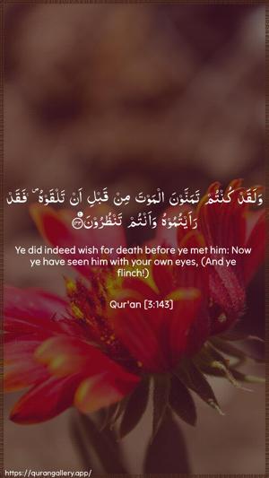 Aal-i-Imraan Ayah 143 - Arabic + English wallpaper