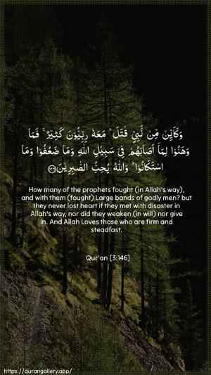 Aal-i-Imraan Ayah 146 - Arabic + English wallpaper