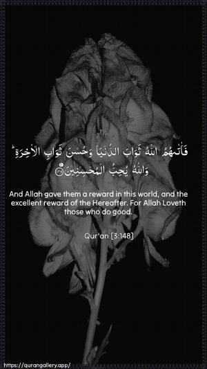 Aal-i-Imraan Ayah 148 - Arabic + English wallpaper