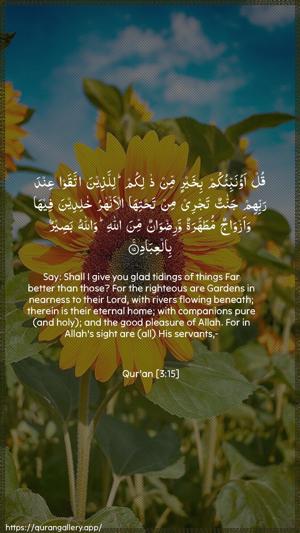 Aal-i-Imraan Ayah 15 - Arabic + English wallpaper