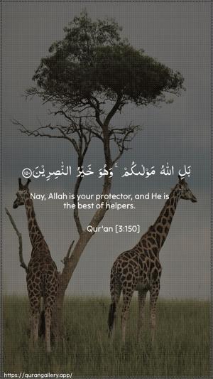Aal-i-Imraan Ayah 150 - Arabic + English wallpaper